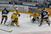 Zu viele Strafen brechen dem HC Davos das Genick