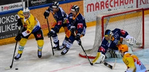 EV Zug vs. SC Bern - 32. Spieltag