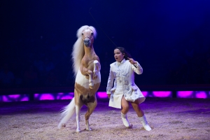 Premiere Circus Knie Tour 2021