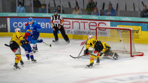 Keine Gastgeschenke vom SC Bern zum Jubil&auml;um des EHC Kloten