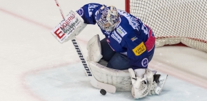 EHC Kloten vs. SC Langenthal - Spiel 23