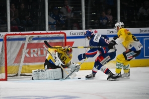 ZSC Lions vs. SC Bern - Spiel 11