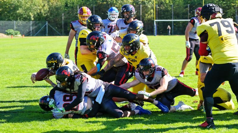 Die Sharks beenden den H&ouml;henflug der Spartans